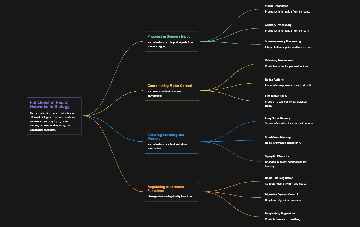 Concept Map des neuronalen Netzwerks in der Biologie